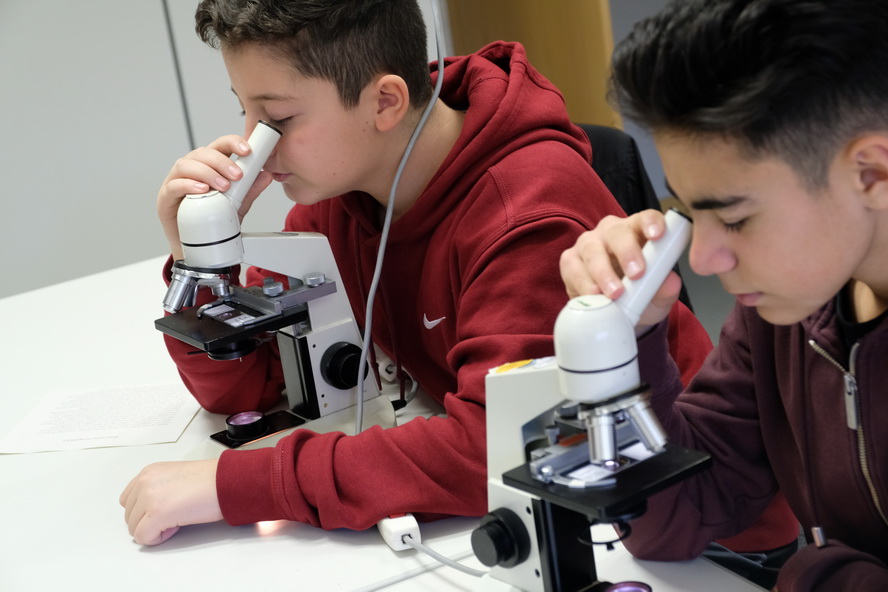 Foto zweier Jungen beim Mikroskopieren